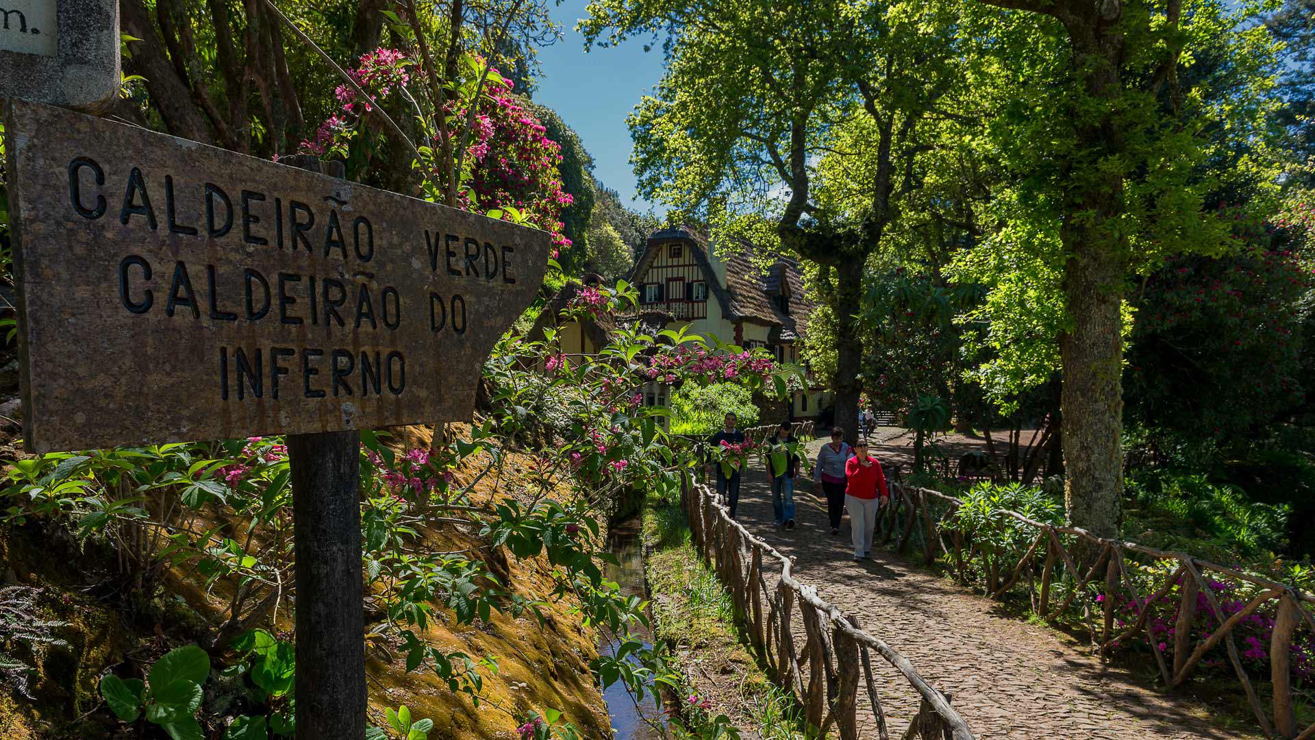 Imagem Principal